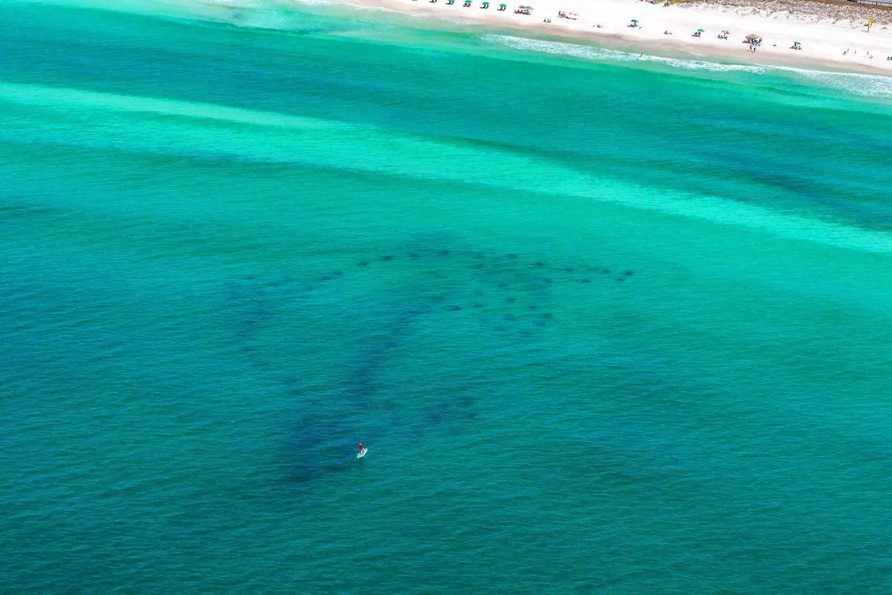 Beach Blast Villa Destin Holiday home